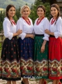 Spodnice NOWE 1.png